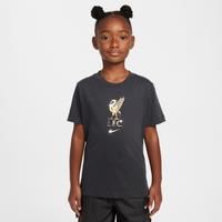 Nike Liverpool FC Older Kids Football T-Shirt Dk Smoke Grey HJ4060-070 S