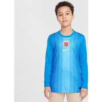 Norway 2025/26 Stadium Goalkeeper Older Kids' Nike Dri-FIT Football Replica Long-Sleeve Shirt - Blue - Polyester