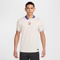 FFF 2025 Stadium Away (Women's Team) Men's Nike Dri-FIT Soccer Replica Jersey - Brown - Polyester