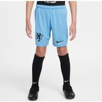 Netherlands 2025/26 Stadium Away Older Kids' Nike Dri-FIT Football Replica Shorts - Blue - Polyester