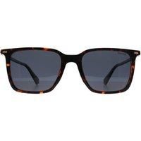 Square Havana Blue Polarized PLD 4183/S/X