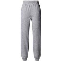 The North Face Women'S Mountain Athletics Fleece Pant-Grey