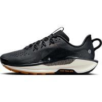 Nike Pegasus Trail 5 Women's Trail-Running Shoes - Black