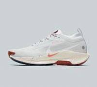 Nike Pegasus Trail 5 GORE-TEX Trainer - White - Size 12