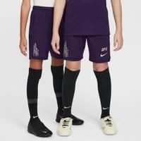 Nike Kids Km Df Acd25 -Pd Shorts, Grand Purple/Grand Purple/Meta, 7/8 Years