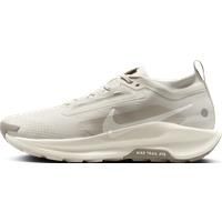 Nike Pegasus Trail 5 GORE-TEX Men's Waterproof Trail-Running Shoes - Grey