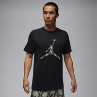 Nike Jordan Sport Men's Dri-FIT T-Shirt - Black - Cotton