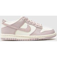 Nike Stone Multi Dunk Low Girls Youth Trainers