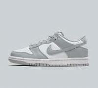 Nike White & grey Dunk Low Youth Trainers