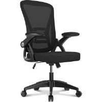 Inbox Zero Lintz Desk Chair with Back Support, High Back Ergonomic Computer Chair with 90° Flip-Up Armrest black 50.0 W x 50.0 D cm