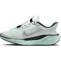 Nike Pegasus EasyOn Women's Road Running Shoes - Blue