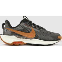 Nike Black Multi Pegasus Trail 5 Boys Youth Trainers