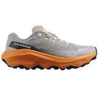Salomon Men'S Trail Running Ultra Flow 2 Gore-Tex Trainers - Grey/Orange