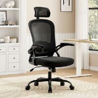Inbox Zero Rupesh Mesh Office Chair With Lumbar Support Black/Black 109cm H X 62cm W X 65cm D