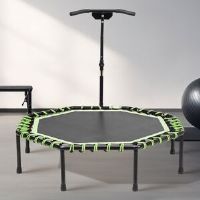 Freeport Park Octagon Backyard Trampoline Black/Green 128cm H X 130cm W X 122cm D