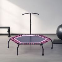 Freeport Park Hexagon Backyard Trampoline Black/Pink 123cm H X 122cm W X 110cm D