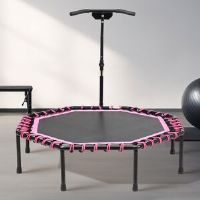 Freeport Park Octagon Backyard Trampoline Black/Pink 128cm H X 130cm W X 122cm D