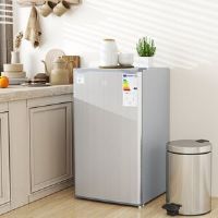 Brayden Studio 0.1m³ L Freestanding Mini Fridge with Freezer Silver 84cm H X 47.5cm W X 44.2cm D