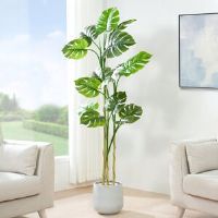 The Seasonal Aisle Antavis Faux Monstera Tree in Pot 160cm H x 30cm W x 30cm D