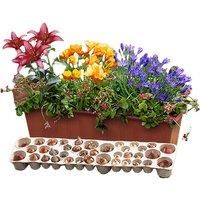 Spring Balcony Drop-In Window Planter Kit - 38 Bulbs Included!