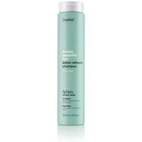 Erayba Detox Refresh Shampoo & Mask 250ml
