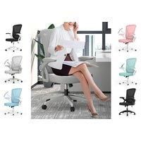 Office Chair With Lumbar Support In 6 Colours - Grey