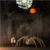 Argos Home Halloween Large Foldable Spider Decoration