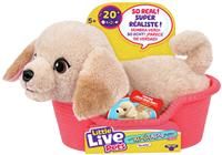 Little Live Pets My Really Real Puppy Minis- Buddy the Retriever| Interactive Puppy with 20+ Sounds & Reactions- Includes Basket for Display. Fun & Adorable Gift for Kids (11cm/4.3in tall)