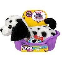 Little Live Pets My Really Real Puppy Minis- Pepper the Dalmatian| Interactive Puppy with 20+ Sounds & Reactions- Includes Basket for Display. Fun & Adorable Gift for Kids (11cm/4.3in tall)