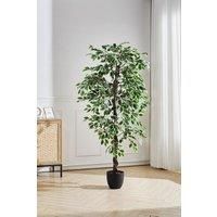 180Cm H Artificial Ficus Tree Decorative Plant in Planter