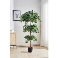 185Cm H Artificial Zamioculcas in Planter for Decoration