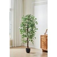 1.8m H Artificial Decorative Ficus Tree Plant in Pot