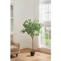 1.5m H Artificial Decorative Ficus Tree Plant in Pot