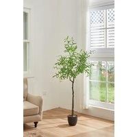 175Cm H Artificial Decorative Olive Tree Plant in Planter