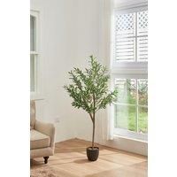 155Cm H Artificial Decorative Olive Tree in Pot