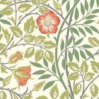 Hoopla Rosehip Trail Coral Pink Matt Wallpaper Sample