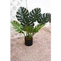65Cm Faux Monstera Tree in Pot
