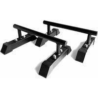 Body Revolution Mini Parallettes