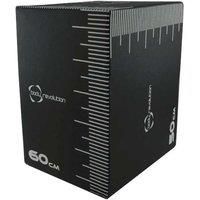 Body Revolution Polyometric Box
