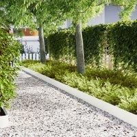 Lawn Edgings 50 pcs White 100x0,5x20 cm Steel