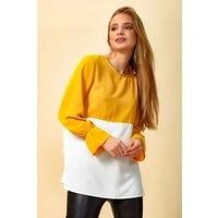 Oversized Long Sleeves Crew Neck Colour Block Blouse