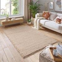 Soft Fluffy 5cm Thick Pile Shaggy Area Rugs for Living Room, Bedroom