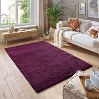 Shaggy Soft 5cm Thick Pile Area Rug Aubergine
