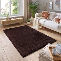 Shaggy Soft 5cm Thick Pile Area Rug Brown