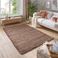 Soft Fluffy 5cm Thick Pile Shaggy Area Rugs for Living Room, Bedroom