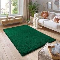 https://www.burton.co.uk/product/smart-living-soft-fluffy-5cm-thick-pile-shaggy-area-rugs-for-living-room-bedroom_p-64c8de43-78b1-4797-a089-e1ed6c15e6a0£colour=Emerald&size=160cm%20x%20230cm