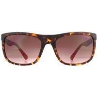 Guess Men's Rectangle Dark Havana Brown Gradient Sunglasses