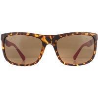 Guess Sunglasses GU6843 52H Dark Havana Brown Polarized