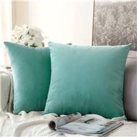 MIULEE Pack of 2 Velvet Soft Decorative Square Throw Pillow Case Cushion Covers Luxury Pillowcases for Livingroom Sofa Bedroom with Invisible Zipper 50cm x 50cm,20x20 Inches Teal Green