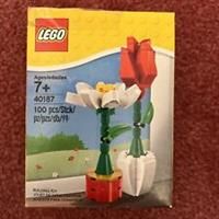 LEGO 40187 Flowers
